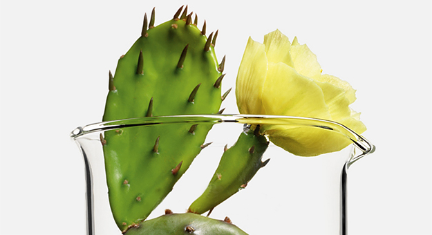 Как запрет на вредные ингредиенты изменил индустрию красоты