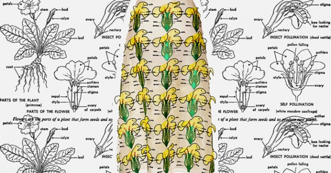 Объект желания: юбка Christopher Kane