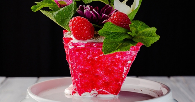 Duran Bar: гастрономические открытия на Трехгорке