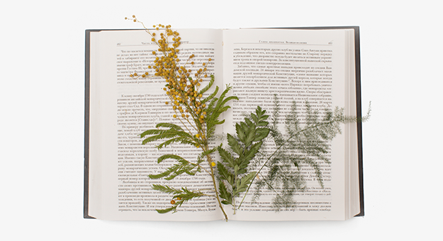 Цветы зла. Гербарий на книгах скандальных писателей