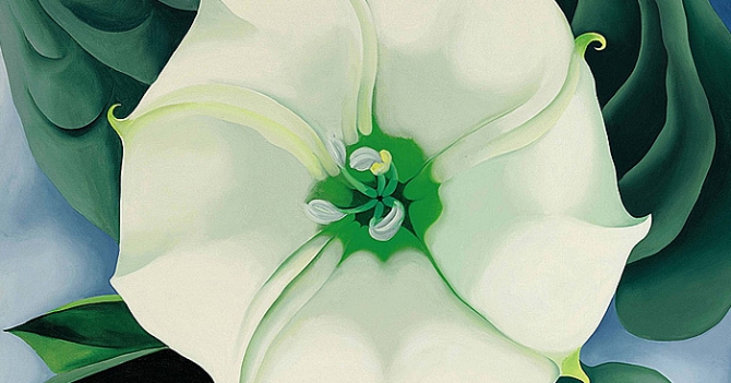 Джорджия О'Киф и Роберт Раушенберг: программа Tate Modern на новый год