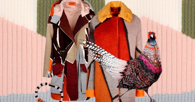 Наш выбор: коллекция Missoni