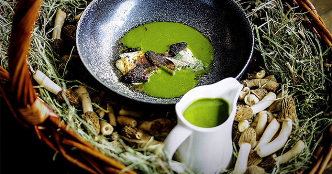 Грибные места Москвы: где пробовать сморчки