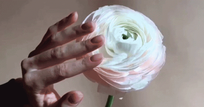 Открылись! О чем надо помнить при посещении салона красоты