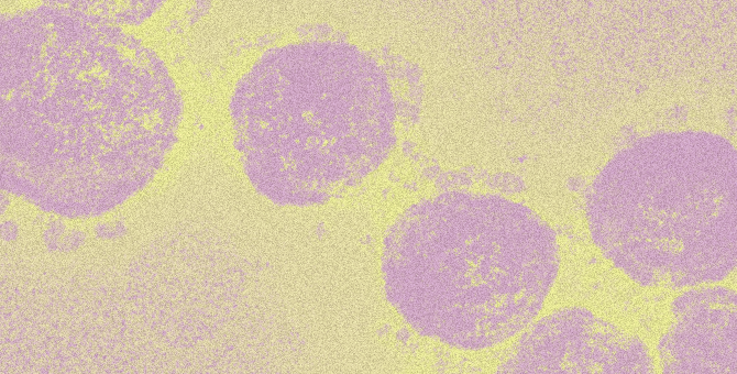 Краткая и понятная инструкция по защите от коронавируса