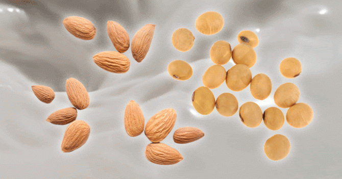 Матча на кокосовом: правда ли растительное молоко так полезно