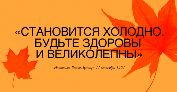 10 неизбитых цитат про осень, которыми можно подписать свои фото в инстаграме