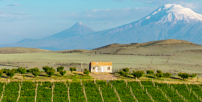 7 причин попробовать и полюбить новое армянское вино