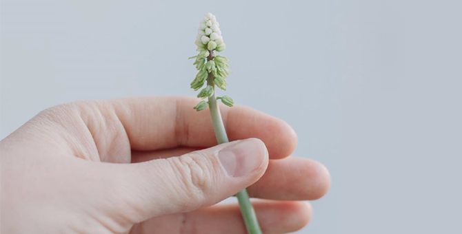 «Дать тем, кому нужно, не рыбку, а удочку»: профессиональные филантропы рассказывают, как начать помогать