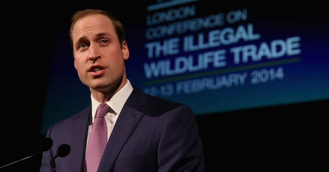 Британские монархи на форуме Illegal Wildlife Trade в Лондоне