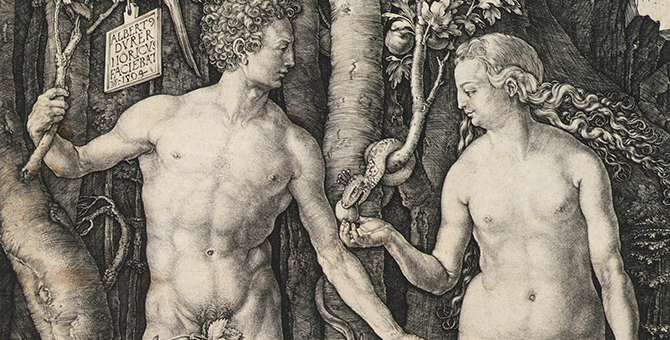Флюиды, ландсерская свинья и запретный плод: Альбрехт Дюрер загадывает загадки