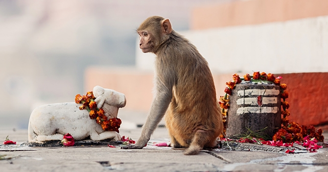 Кадр за кадром: подробный фотоотчет о путешествии в Варанаси