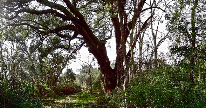 Стив МакКуин и выставка Fighting History в музее Tate Britain