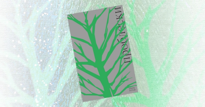 «Проблески»: отрывок из книги Айрис Вольф — о вечной дружбе, родстве душ и поиске места в мире