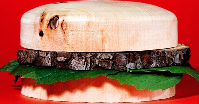 V значит веган: радикальный вегетарианец анонимно о погромах и самосуде