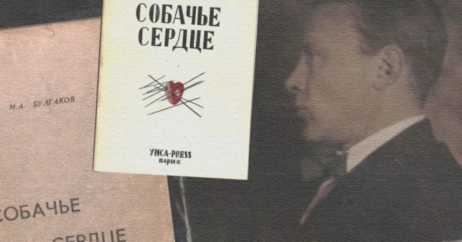 Неоднозначный Преображенский, «собака в пиджаке», старуха Разруха и другие интересные факты о «Собачьем сердце»