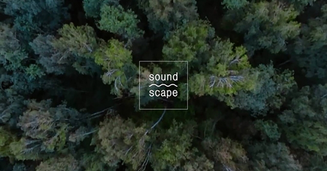 Планы на выходные: отправляемся на фестиваль Soundscape
