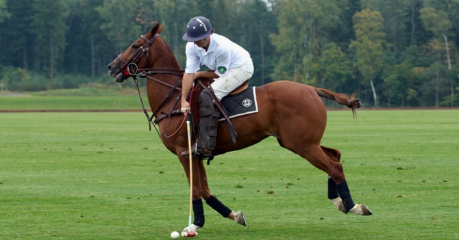 Учебная часть: 5 мастер-классов для мужчин