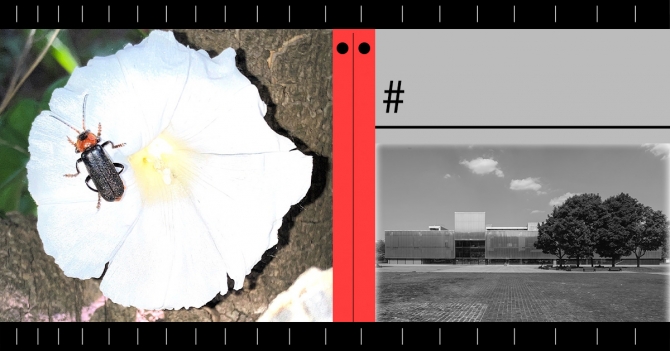 «В кросс-жанровости — будущее искусства»: продюсер и саунд-артисты о новом сезоне радио Музея «Гараж»