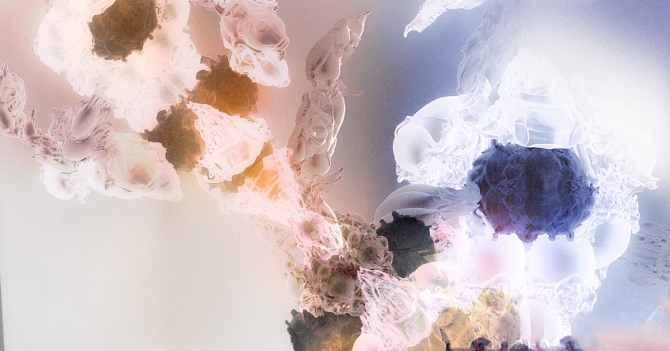 Чьи работы смотреть на выставке «Моей матерью был компьютер» в Санкт-Петербурге. Выбор BURO.