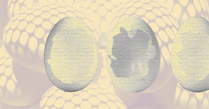 Вредны или полезны яйца? Разбираемся, стоит ли включать их в рацион