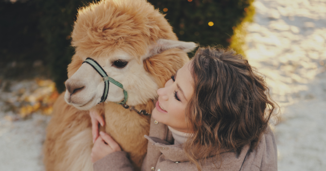 Выходные Юлии Барановской с семьей на Mercedes-Benz Vito