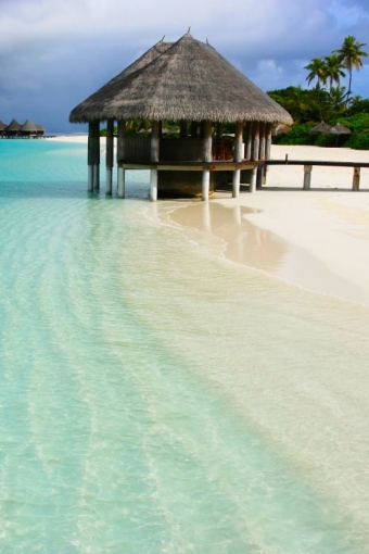 Голосовать за Мальдивы