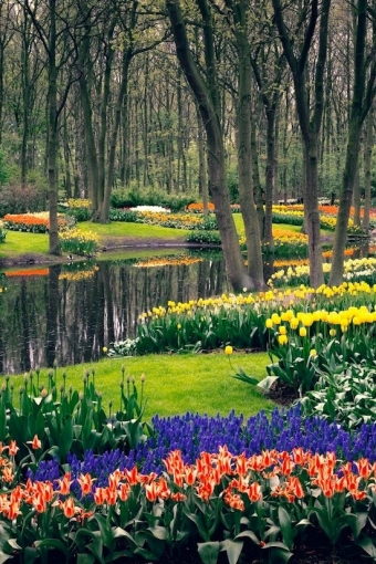 Голосовать за Кекенхоф