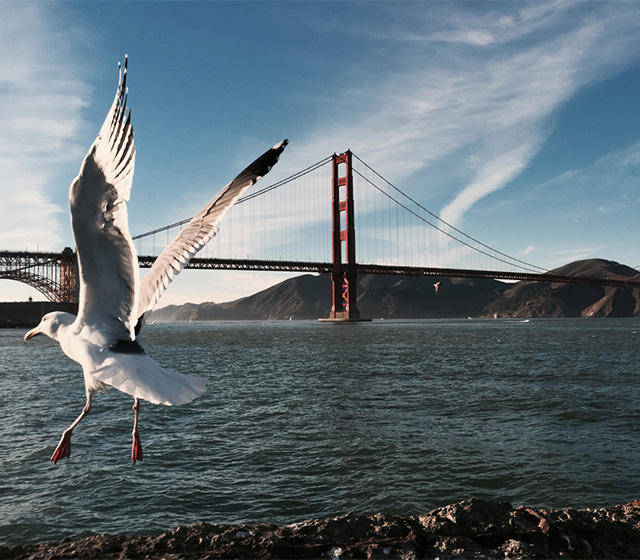 Apple выпустил мини-клипы про iPhone 6