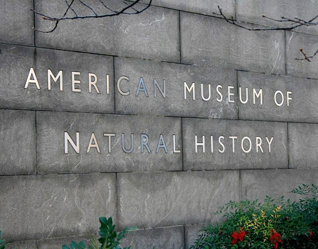 Американский музей естественной истории устроит вечеринку с ночевкой