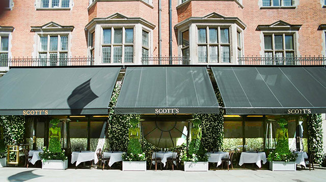 Dior украсит террасу Scott's Restaurant и примет участие в выставке садов Челси