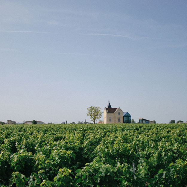 Вино с виноградников из списка всемирного наследия ЮНЕСКО: какое оно и как его делают
