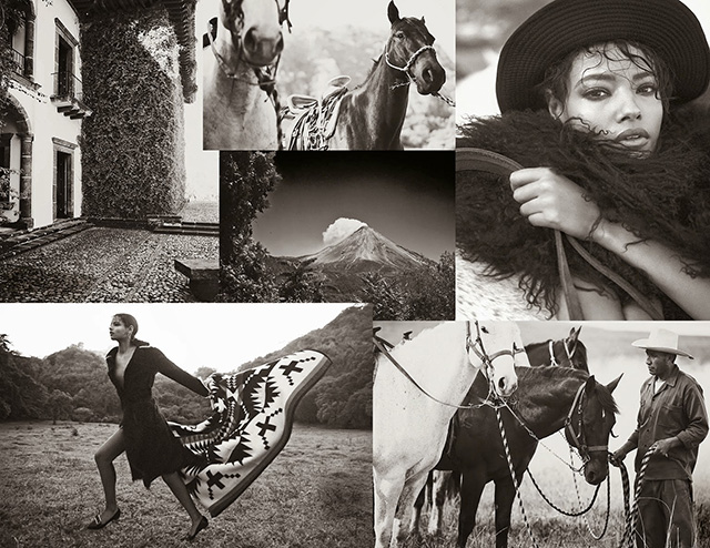 Малаика Ферт в съемке для летнего Porter