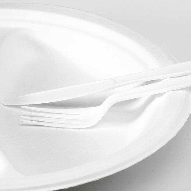 Франция станет первой страной, которая запретит изготовление пластиковой посуды