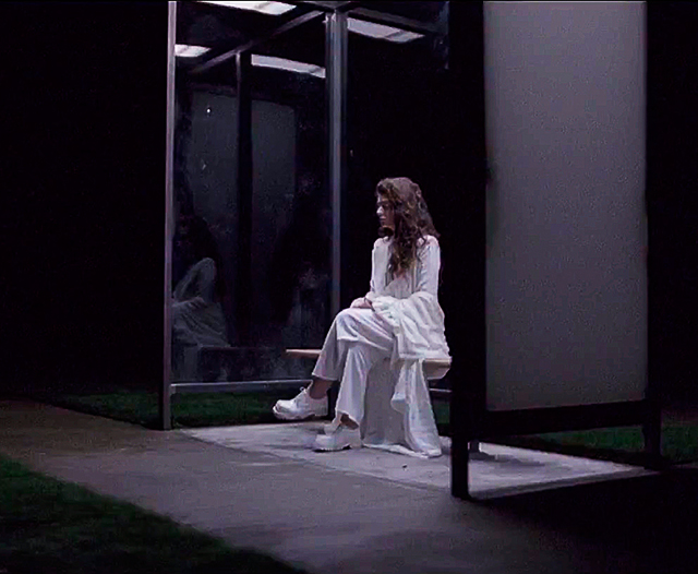 Новый клип Lorde на песню Yellow Flicker Beat