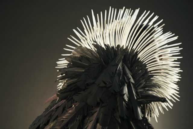 Алхимик Лорен Боуклер изобрела перья будущего