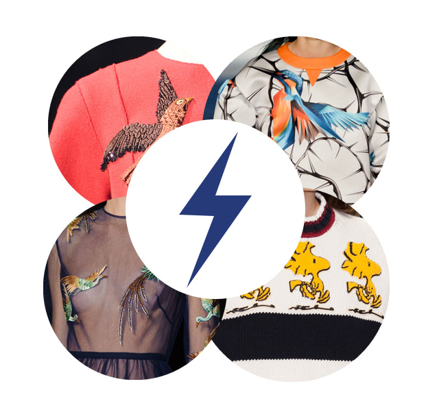 Голосование: птицы в коллекциях сезона осень-зима 2014