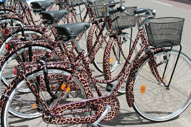 Велопробег по Амстердаму: новый синглспид Dolce & Gabbana