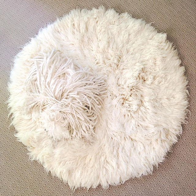 Фото дня: собака Цукерберга сливается с интерьером