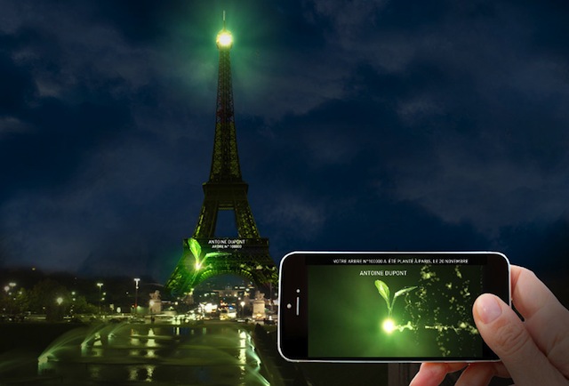 3D проекции деревьев на парижских памятниках архитектуры