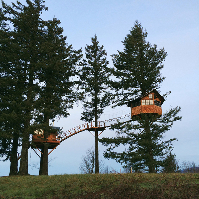 О высоком: дом на дереве со скейт-пулом в придачу
