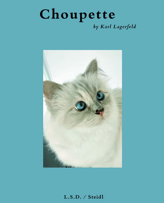 Карл и его кошка: выходит книга о Шупетт со снимками дизайнера