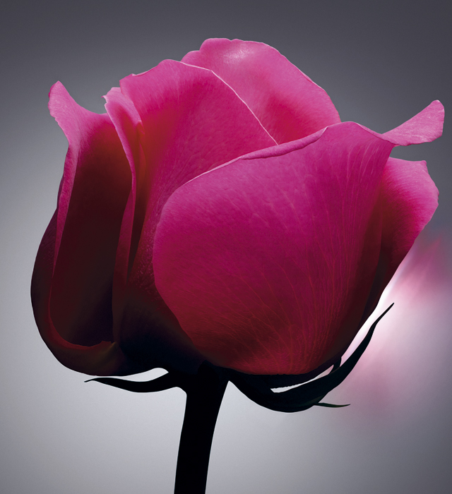 Десять бьюти-новинок ноября