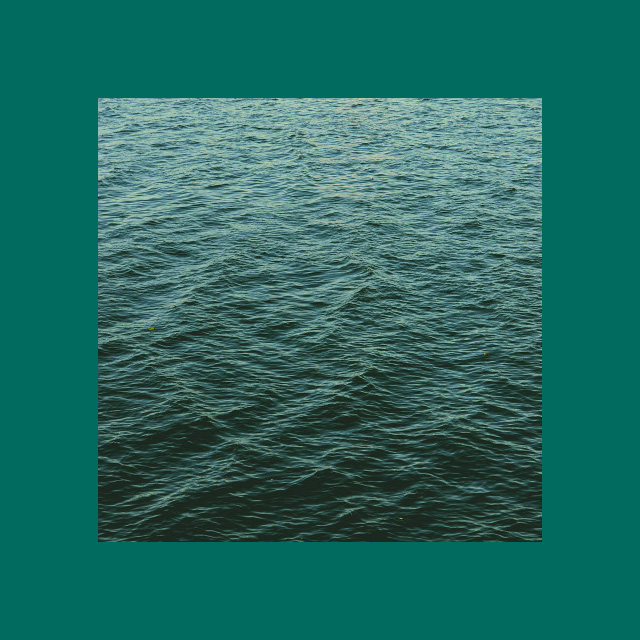 Десять лаков темно-зеленого цвета