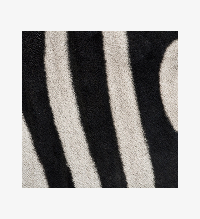 Юсуке Сакай сфотографировал кожу животных