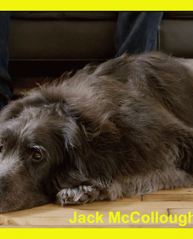 Дизайнеры Proenza Schouler рассказывают о своей марке