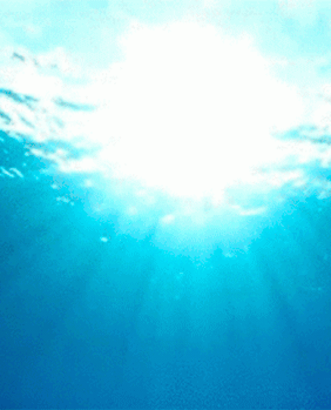 Десять лаков цвета морской волны