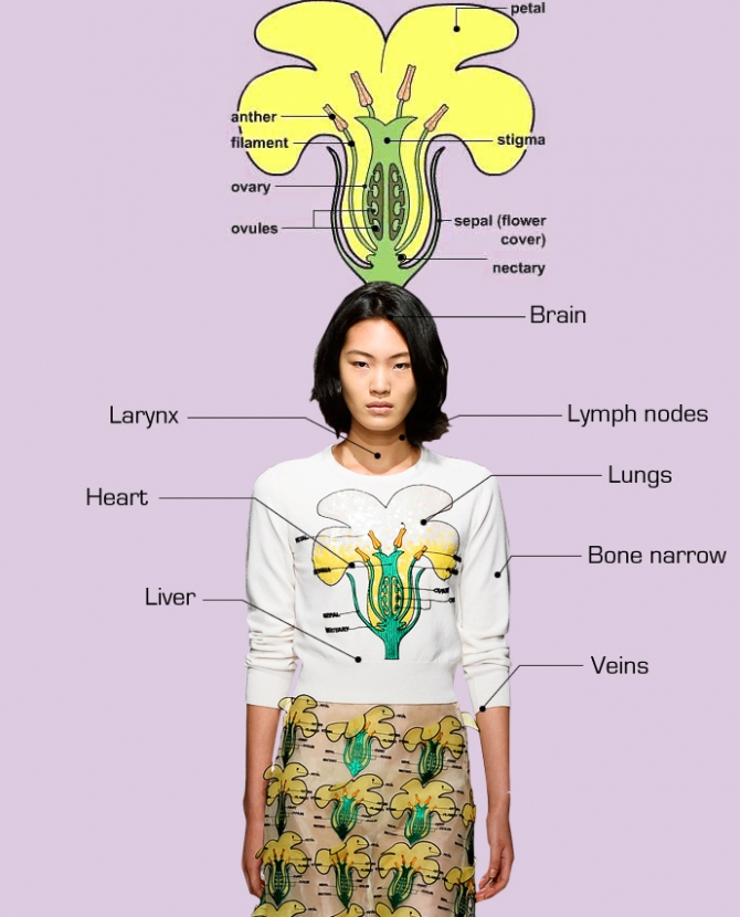 Обзор Buro 24/7: Christopher Kane, весна-лето 2014