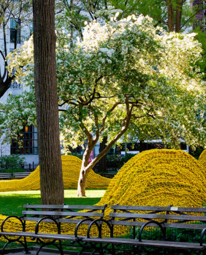 426 км веревки в парке Нью-Йорка