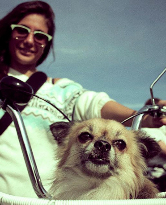 Велосипедный фестиваль в \"Новой Голландии\"